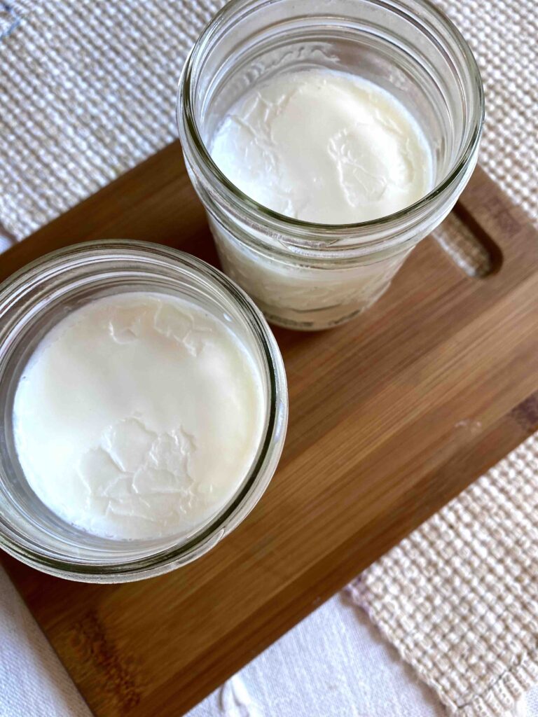 How to Render Beef Tallow the Easiest Way!