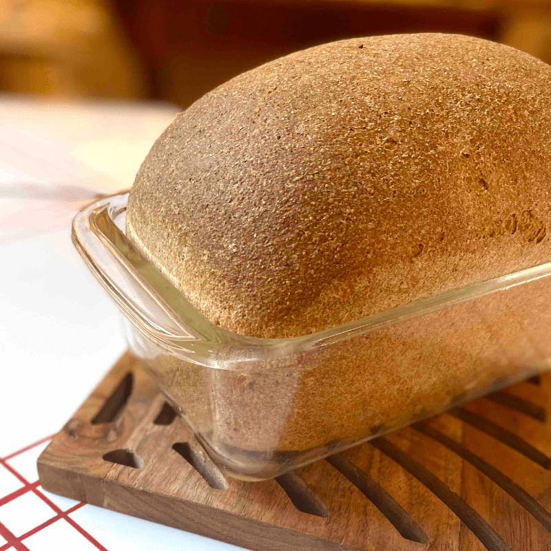 fresh milled sourdough sandwich bread