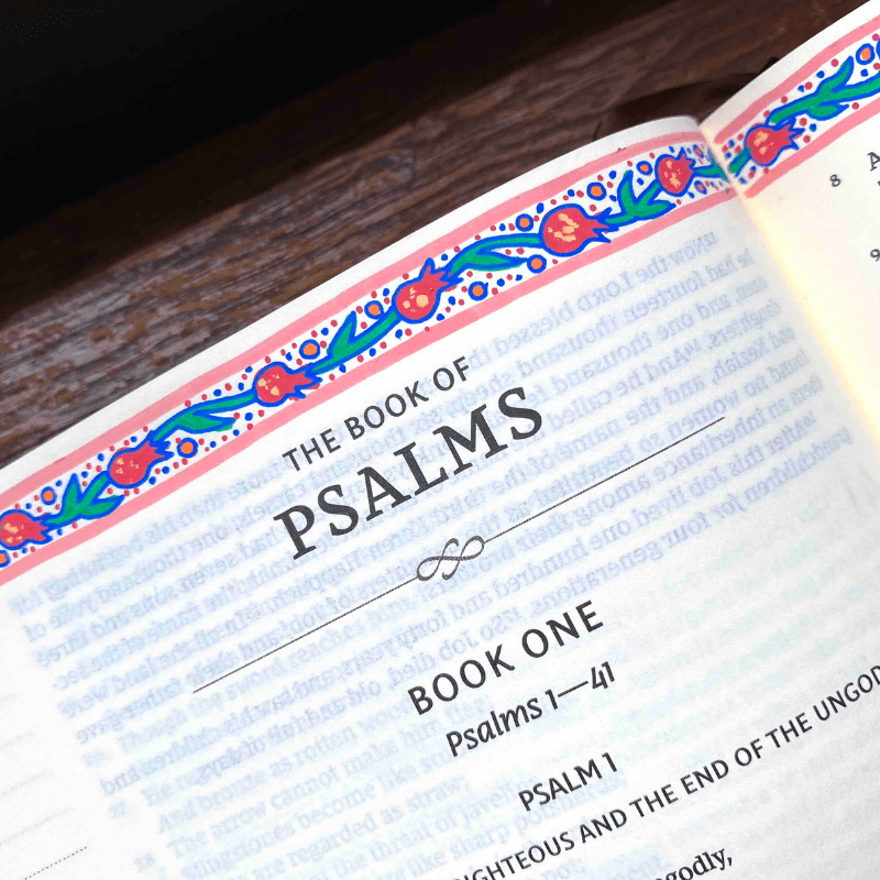 Bible of a Christian SAHM