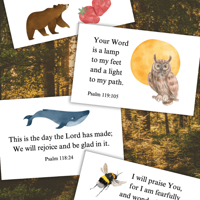 example of printable created for a Christian SAHM