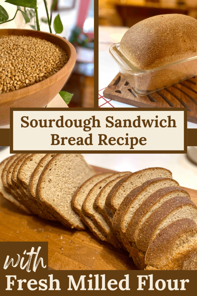 examples of sourdough sandwich bread recipe with fresh milled flour