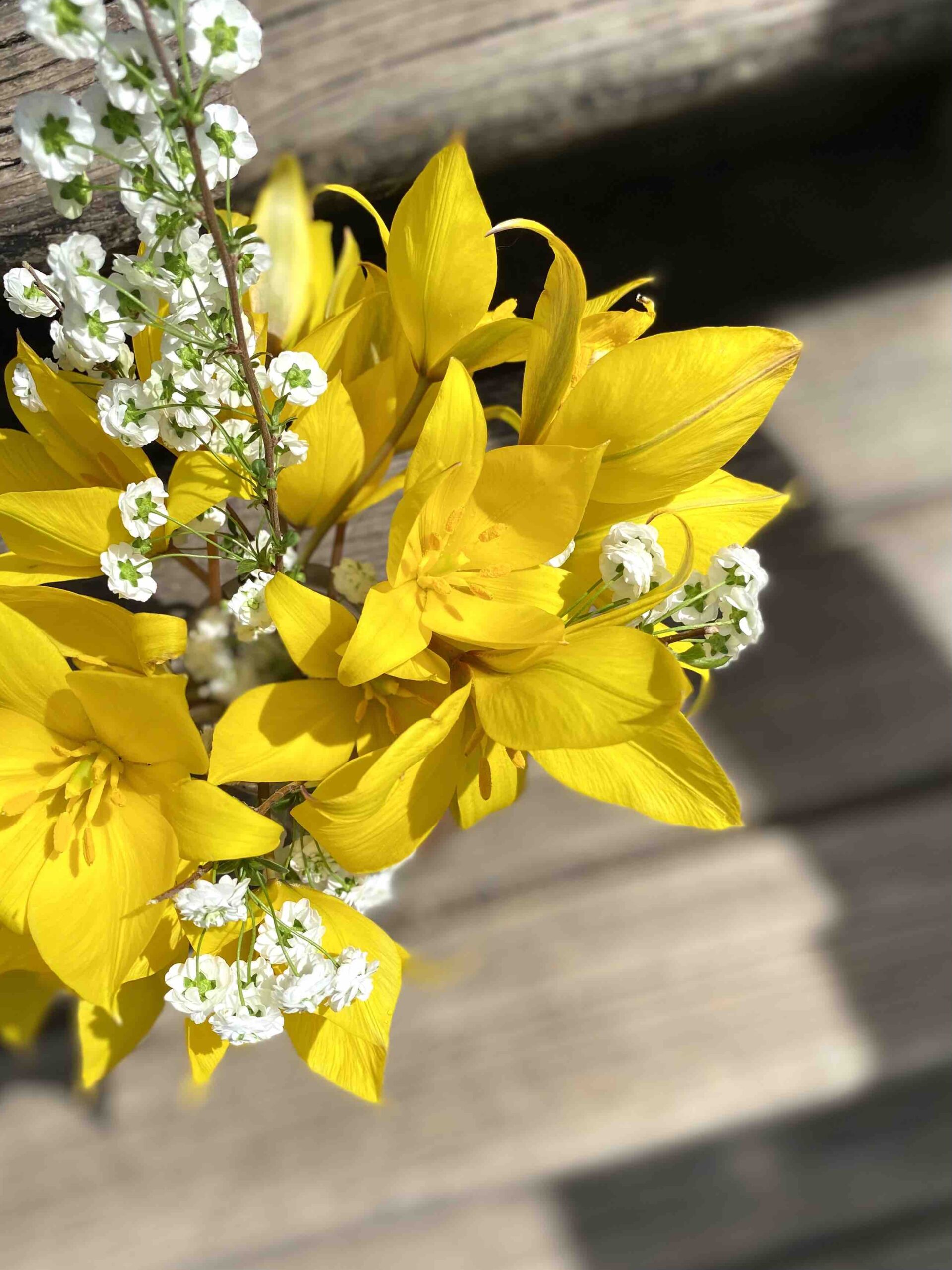flowers used for spring decorating ideas